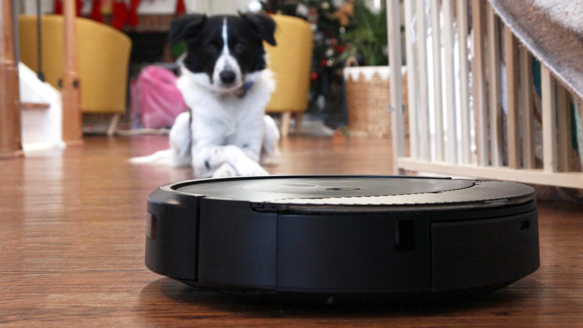 The best robot vacuums for pet hair of 2025: Expert tested and reviewed