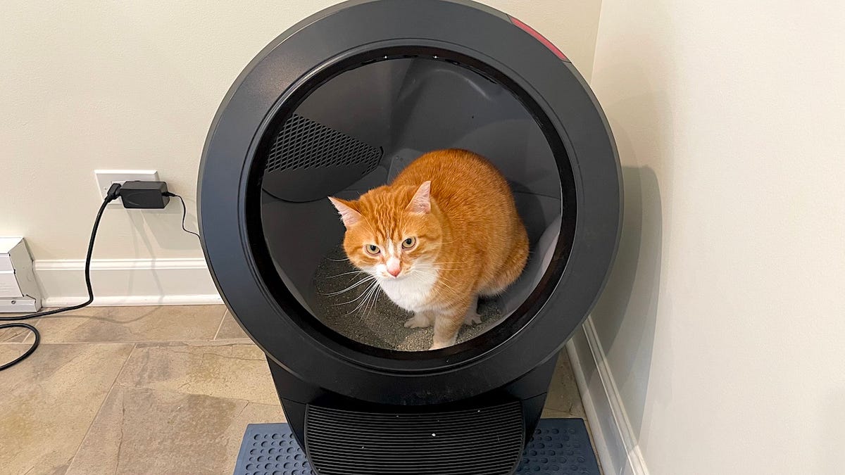 I made the switch to a smart littler box, and my cat approves